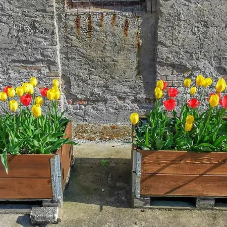 In Herrenhaus شقة Gross Pinnow