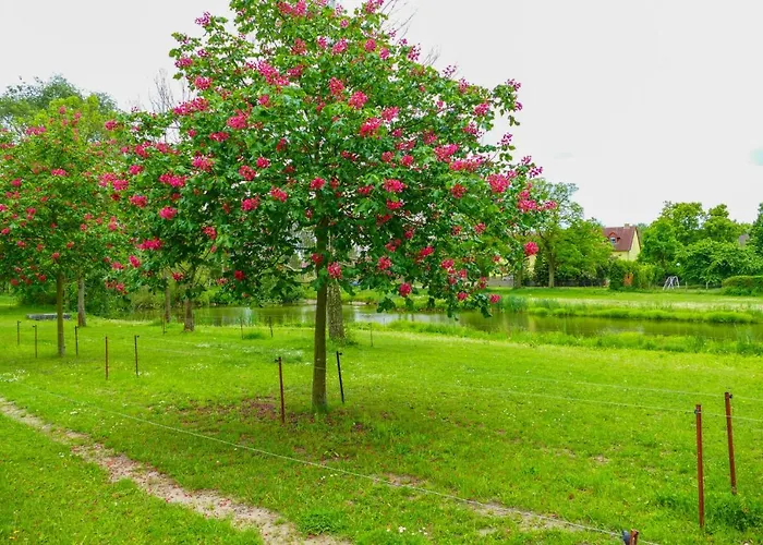 In Herrenhaus * Gross Pinnow