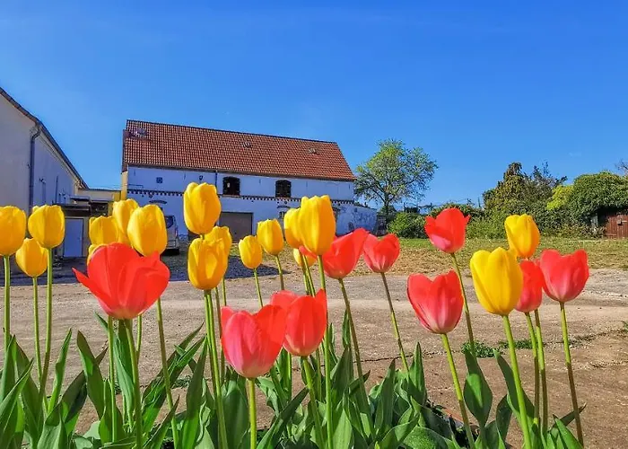 In Herrenhaus Appartement
