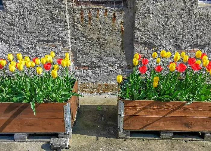 In Herrenhaus Daire Gross Pinnow